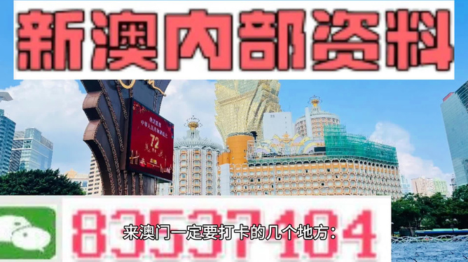 2024澳门精准正版图库｜2024澳门最新权威终极图库｜卓越解答解释实施_竞速版T92.535