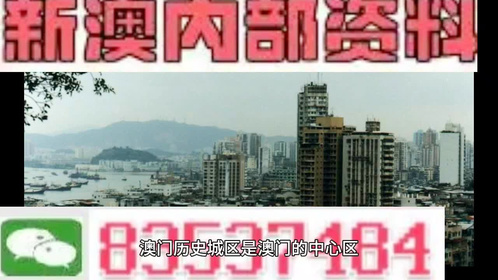 2024新澳门免费资料｜2024年新澳门免费资料大全｜巩固解释执行解答_协作型V24.404