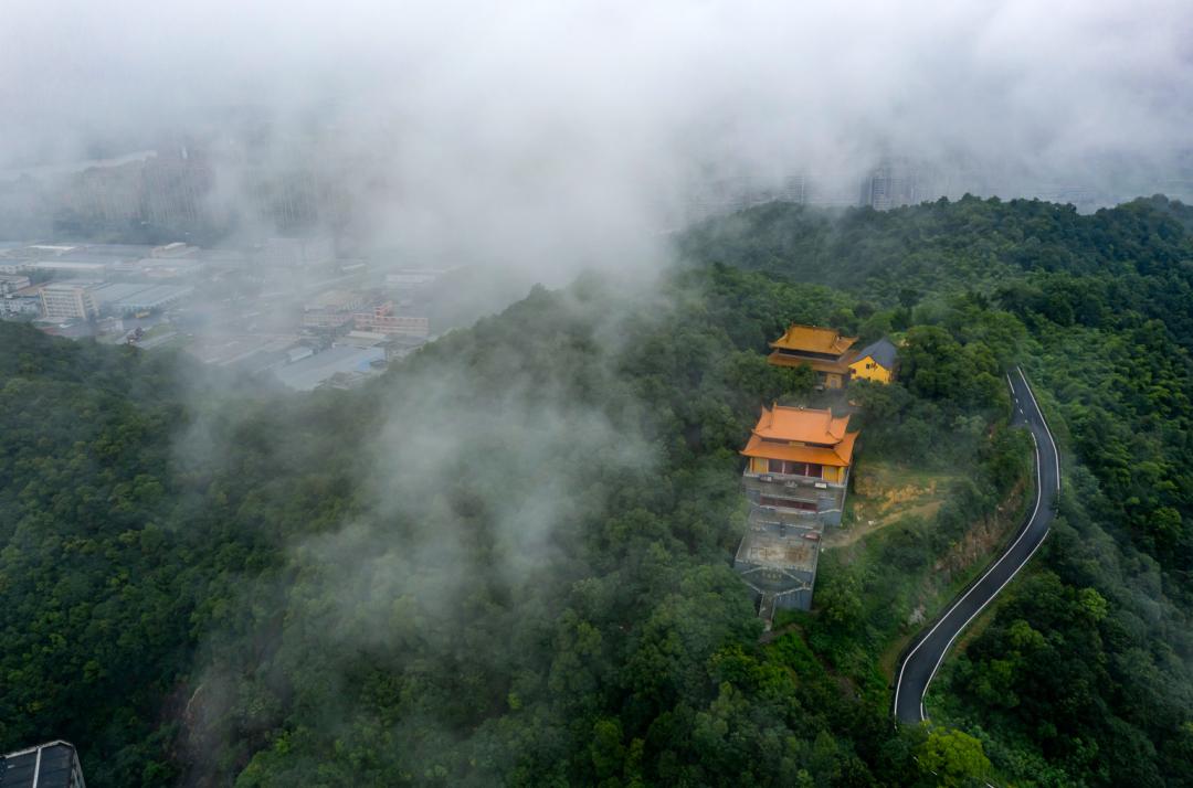 萧山江东区房产价格速览