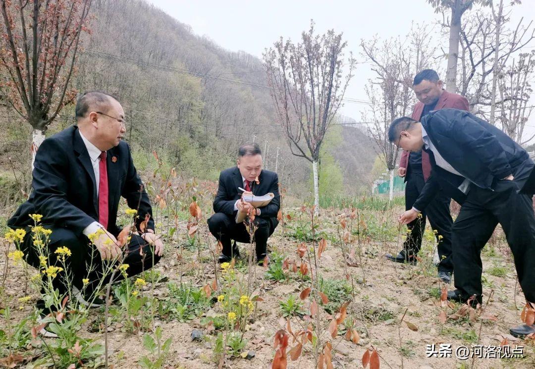 卢氏鸡湾水库最新消息-卢氏鸡湾水库动态更新