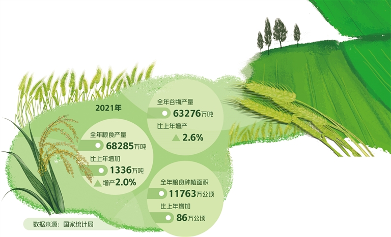 粮食保护价最新政策｜最新粮食保护政策解读