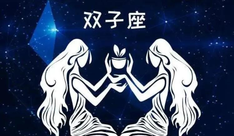 双子座新篇：陶白白笔下双子星辰闪耀