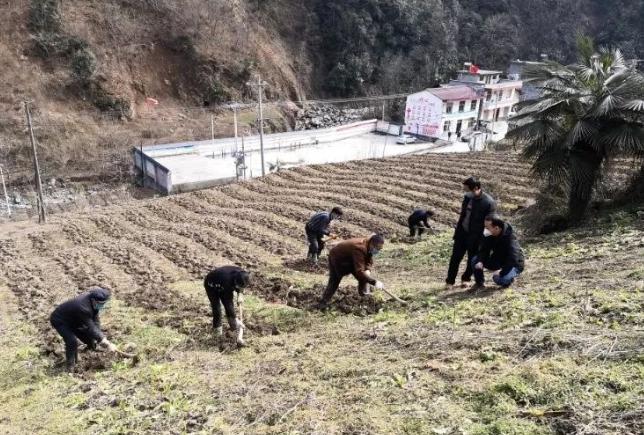 长沙黄花国际机场疫情防控最新动态与政策解读