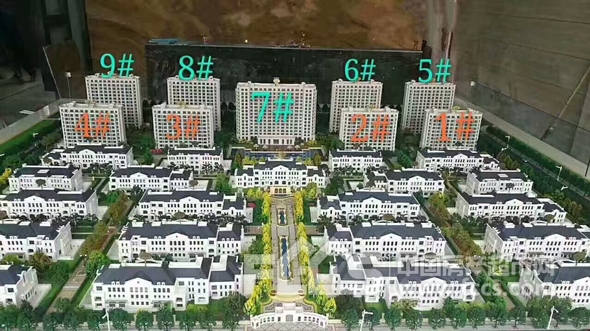 衢州通策兰堡项目最新资讯速递